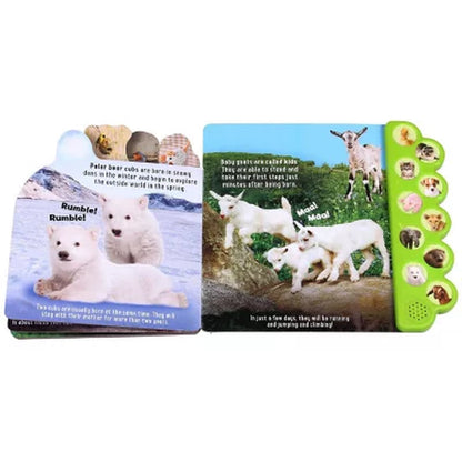 Discovery: Noisy Baby Animals!, Sound Book