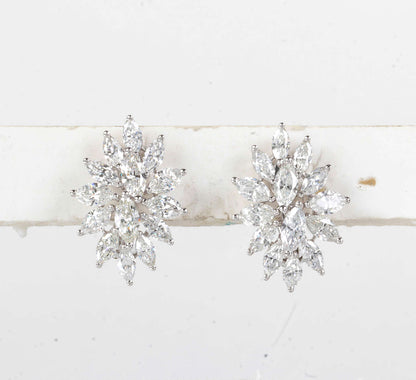 https://a.1stdibscdn.com/diamond-cluster-earrings-for-sale-picture-3/j_415/j_168437421661970102221/IMG_8950.jpg