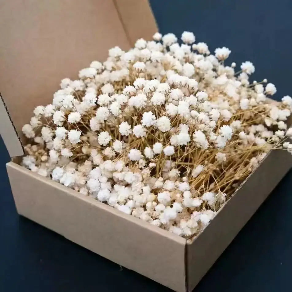 100pcs Mini Dried Baby's Breath Flowers Natural Dry Gypsophila for DIY Aromatherapy Valentine Wedding Party Photo Props Decor