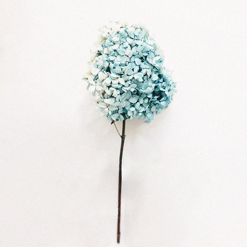 Natural Dried Flower Hydrangea Eternal Flower Bouquet Real Flower Arrangement Living Room Desktop Decoration Minimalist High-...