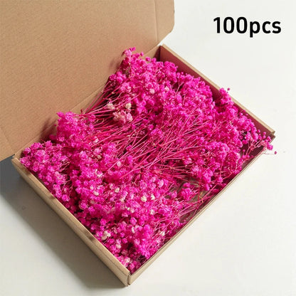 100pcs Mini Dried Baby's Breath Flowers Natural Dry Flower Gypsophila  DIY Aromatherapy  Valentine Wedding Party Photo Prop Deco