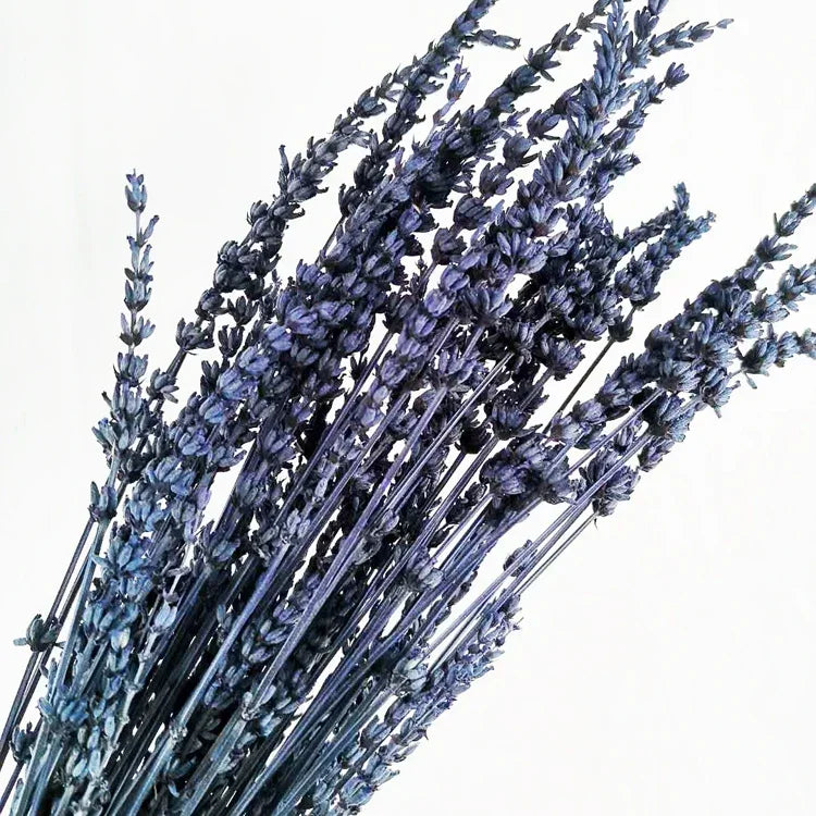 120g Fresh Dried Flowers Lavender Natural Bouquet Boho Home Decor Artificial Plants Gypsophila Wedding Valentines Day Decoration