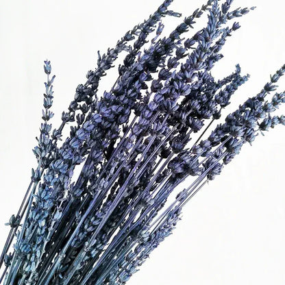 120g Fresh Dried Flowers Lavender Natural Bouquet Boho Home Decor Artificial Plants Gypsophila Wedding Valentines Day Decoration