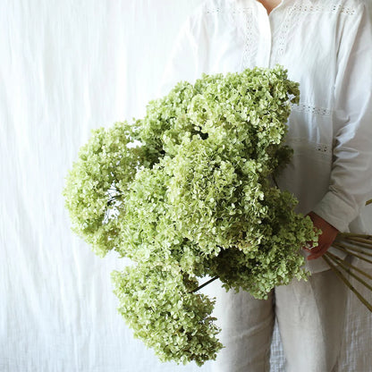 Natural Dried Flower Hydrangea Eternal Flower Bouquet Real Flower Arrangement Living Room Desktop Decoration Minimalist High-...