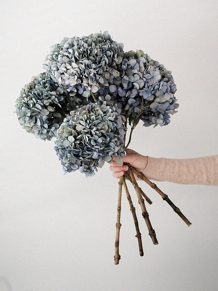 Natural Dried Flower Hydrangea Eternal Flower Bouquet Real Flower Arrangement Living Room Desktop Decoration Minimalist High-...