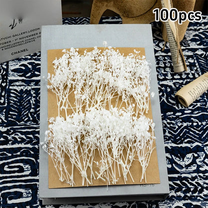 100pcs Mini Dried Baby's Breath Flowers Natural Dry Flower Gypsophila  DIY Aromatherapy  Valentine Wedding Party Photo Prop Deco
