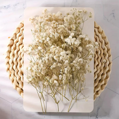 100pcs Mini Dried Baby's Breath Flowers Natural Dry Gypsophila for DIY Aromatherapy Valentine Wedding Party Photo Props Decor