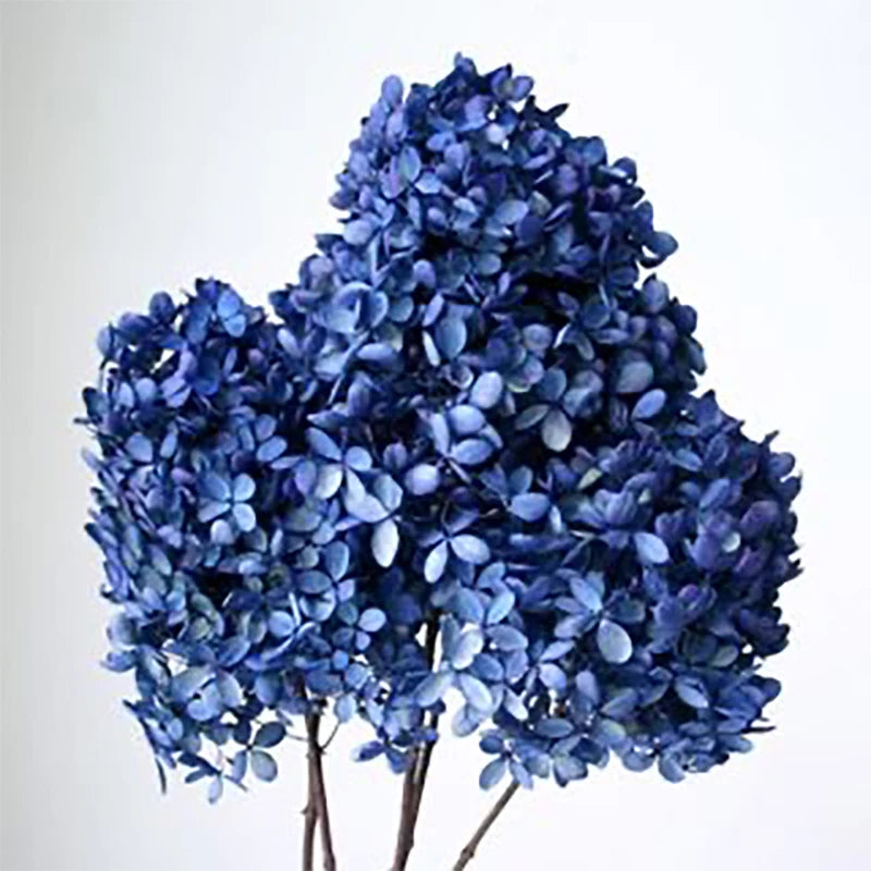 Natural Dried Flower Hydrangea Eternal Flower Bouquet Real Flower Arrangement Living Room Desktop Decoration Minimalist High-...