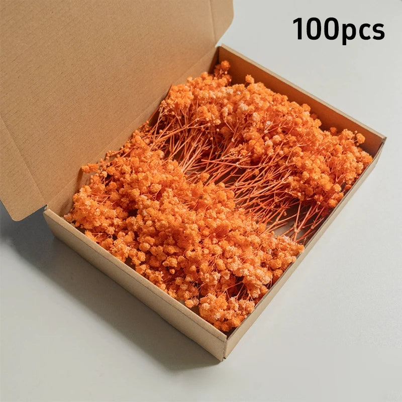100pcs Mini Dried Baby's Breath Flowers Natural Dry Gypsophila for DIY Aromatherapy Valentine Wedding Party Photo Props Decor