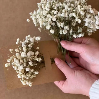 100pcs Mini Dried Baby's Breath Flowers Natural Dry Gypsophila for DIY Aromatherapy Valentine Wedding Party Photo Props Decor