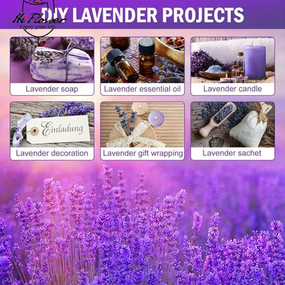 120g Fresh Dried Flowers Lavender Natural Bouquet Boho Home Decor Artificial Plants Gypsophila Wedding Valentines Day Decoration