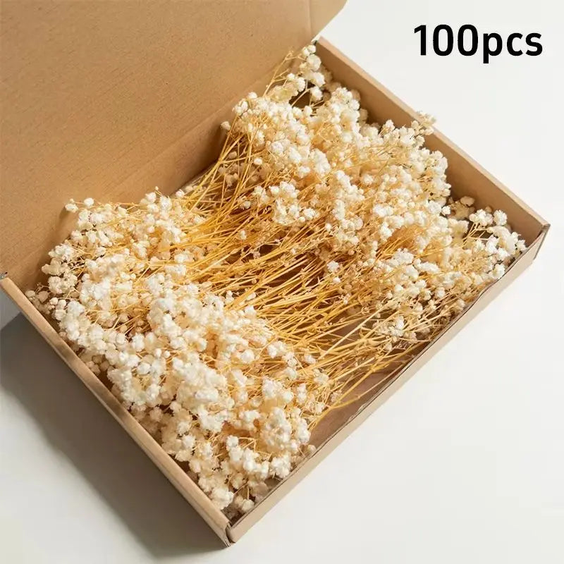 100pcs Mini Dried Baby's Breath Flowers Natural Dry Gypsophila for DIY Aromatherapy Valentine Wedding Party Photo Props Decor