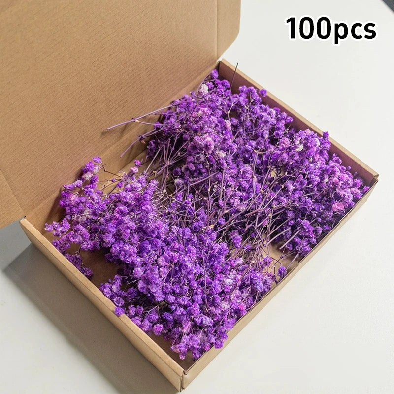 100pcs Mini Dried Baby's Breath Flowers Natural Dry Flower Gypsophila  DIY Aromatherapy  Valentine Wedding Party Photo Prop Deco