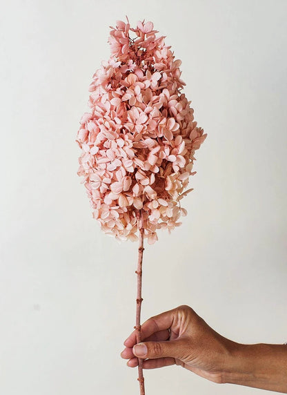 Natural Dried Flower Hydrangea Eternal Flower Bouquet Real Flower Arrangement Living Room Desktop Decoration Minimalist High-...