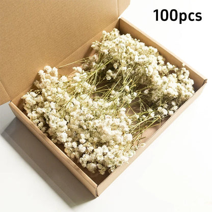 100pcs Mini Dried Baby's Breath Flowers Natural Dry Gypsophila for DIY Aromatherapy Valentine Wedding Party Photo Props Decor