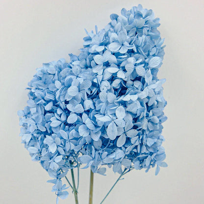 Natural Dried Flower Hydrangea Eternal Flower Bouquet Real Flower Arrangement Living Room Desktop Decoration Minimalist High-...