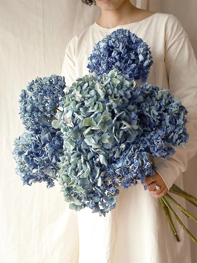 Natural Dried Flower Hydrangea Eternal Flower Bouquet Real Flower Arrangement Living Room Desktop Decoration Minimalist High-...