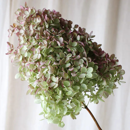 Natural Dried Flower Hydrangea Eternal Flower Bouquet Real Flower Arrangement Living Room Desktop Decoration Minimalist High-...
