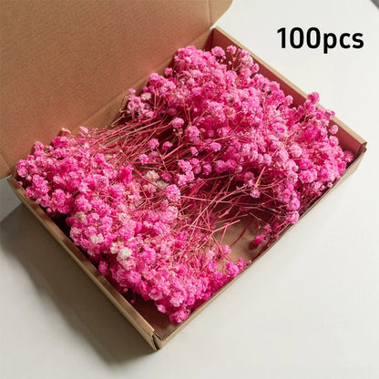 100pcs Mini Dried Baby's Breath Flowers Natural Dry Flower Gypsophila  DIY Aromatherapy  Valentine Wedding Party Photo Prop Deco