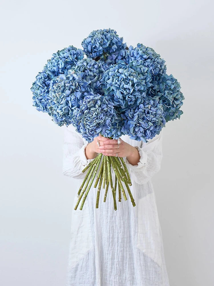 Natural Dried Flower Hydrangea Eternal Flower Bouquet Real Flower Arrangement Living Room Desktop Decoration Minimalist High-...