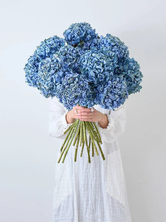 Natural Dried Flower Hydrangea Eternal Flower Bouquet Real Flower Arrangement Living Room Desktop Decoration Minimalist High-...