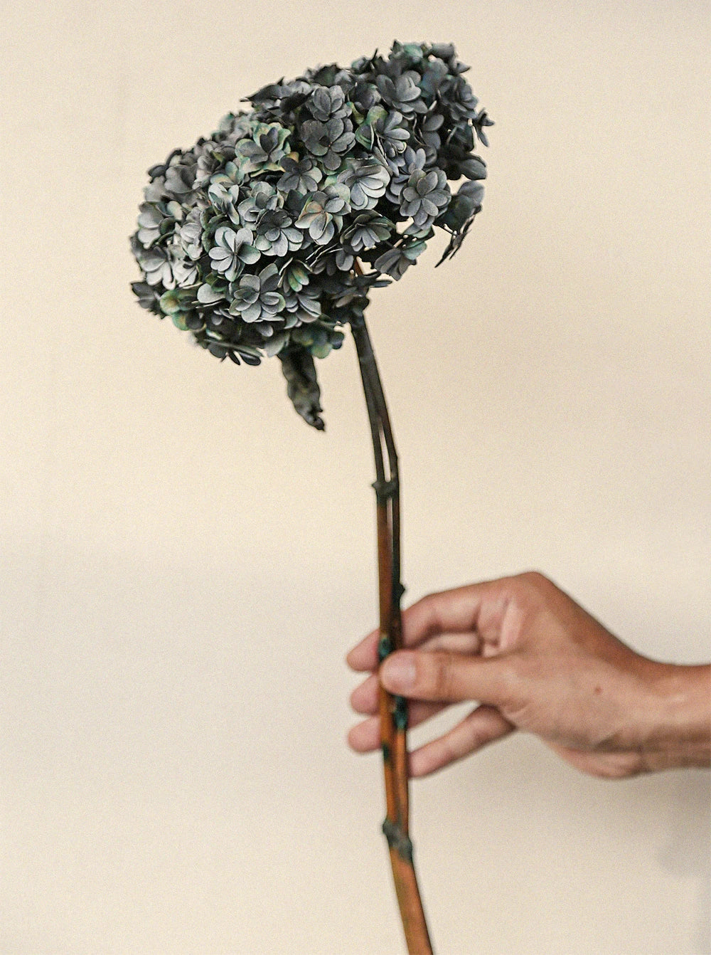 Natural Dried Flower Hydrangea Eternal Flower Bouquet Real Flower Arrangement Living Room Desktop Decoration Minimalist High-...