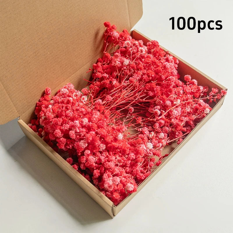 100pcs Mini Dried Baby's Breath Flowers Natural Dry Gypsophila for DIY Aromatherapy Valentine Wedding Party Photo Props Decor