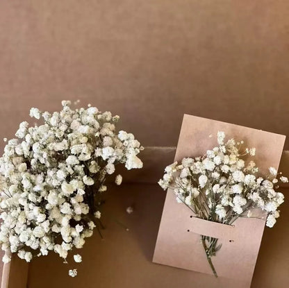 100pcs Mini Dried Baby's Breath Flowers Natural Dry Gypsophila for DIY Aromatherapy Valentine Wedding Party Photo Props Decor