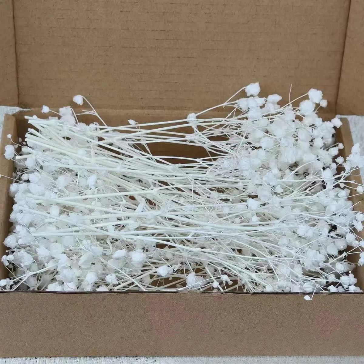 100pcs Mini Dried Baby's Breath Flowers Natural Dry Gypsophila for DIY Aromatherapy Valentine Wedding Party Photo Props Decor