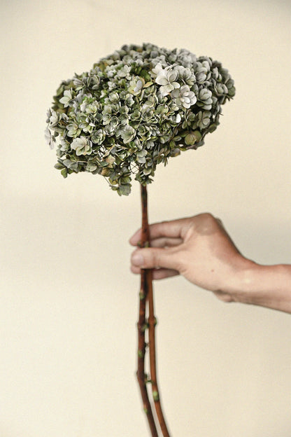 Natural Dried Flower Hydrangea Eternal Flower Bouquet Real Flower Arrangement Living Room Desktop Decoration Minimalist High-...
