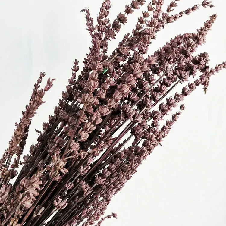 120g Fresh Dried Flowers Lavender Natural Bouquet Boho Home Decor Artificial Plants Gypsophila Wedding Valentines Day Decoration