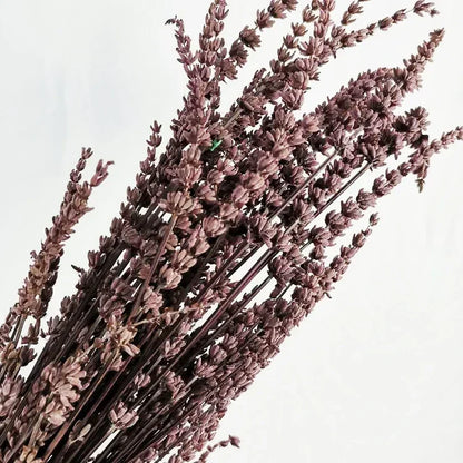 120g Fresh Dried Flowers Lavender Natural Bouquet Boho Home Decor Artificial Plants Gypsophila Wedding Valentines Day Decoration