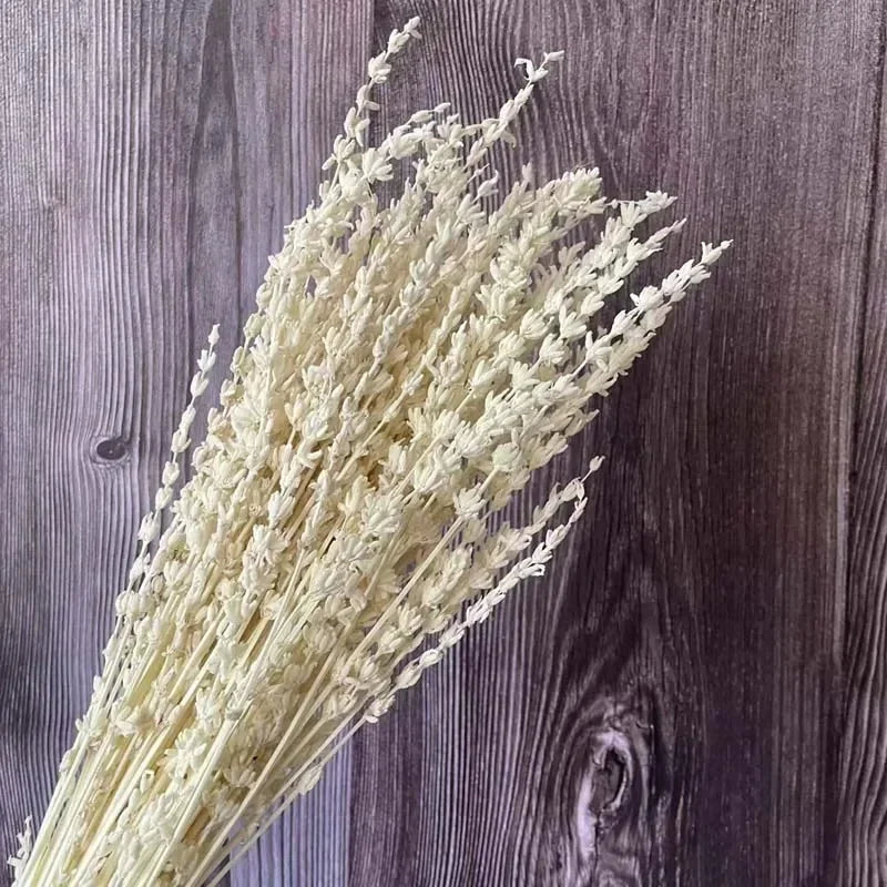 120g Fresh Dried Flowers Lavender Natural Bouquet Boho Home Decor Artificial Plants Gypsophila Wedding Valentines Day Decoration
