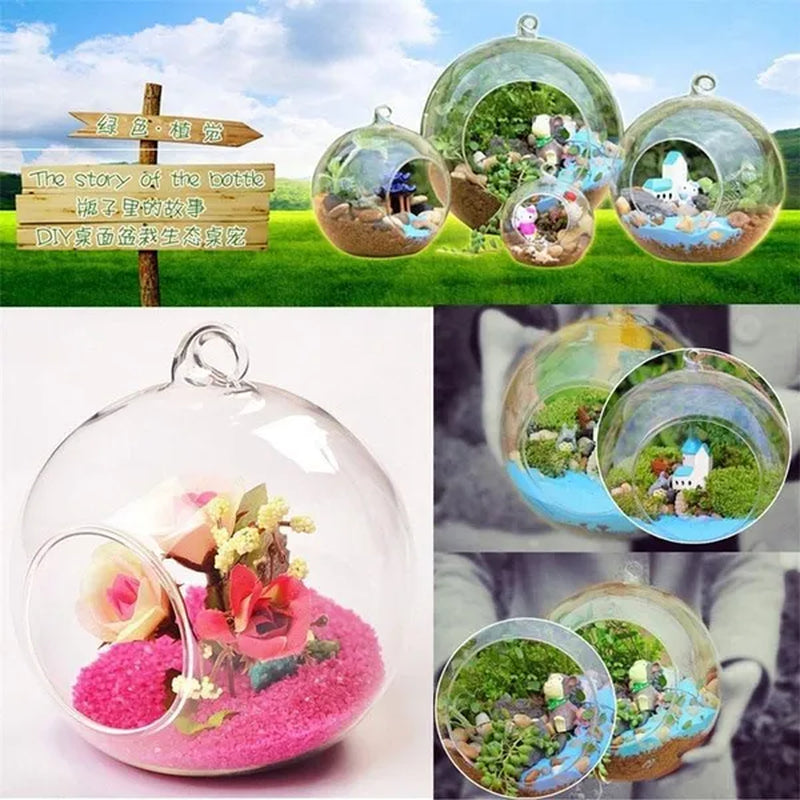 Creative Hanging Glass Ball Vase Flower Plant Pot Terrarium Container Decor  ORG