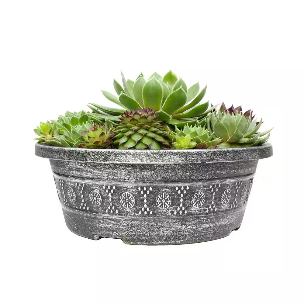 8 In. Sempervivum Bowl