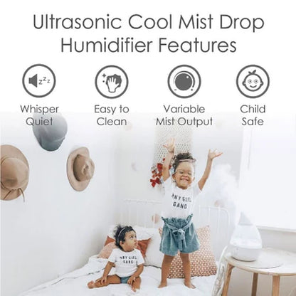 Crane Drop Ultrasonic Cool Mist Humidifier
