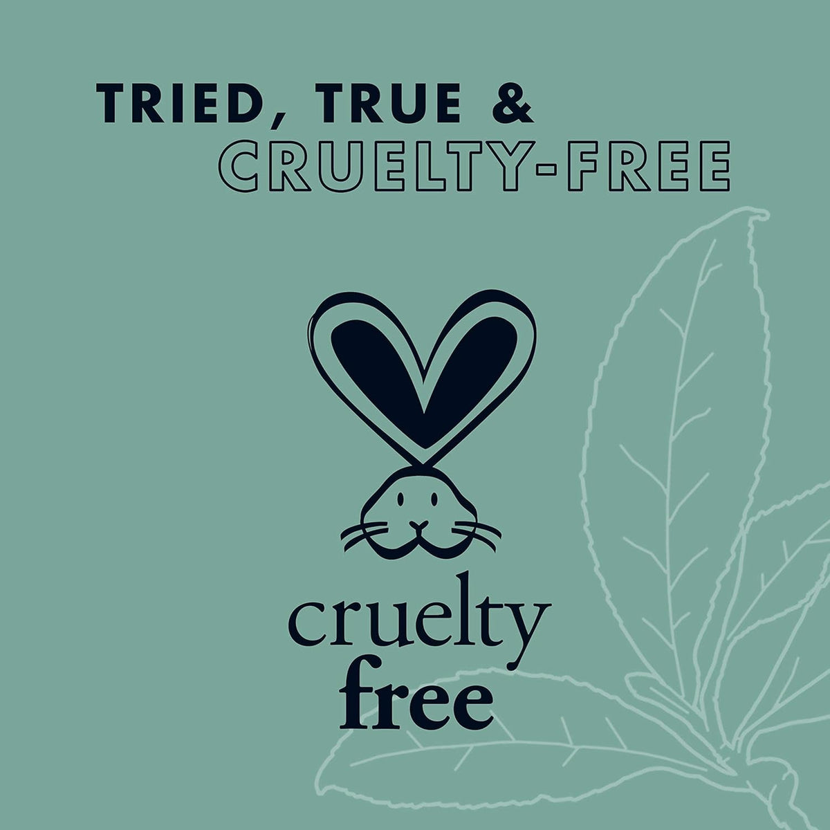 Mousse for Curly Hair, Wig or Weave, Tea Tree and Borage Seed Oil, Paraben-Free Styling Mousse, 7.5 Ounce