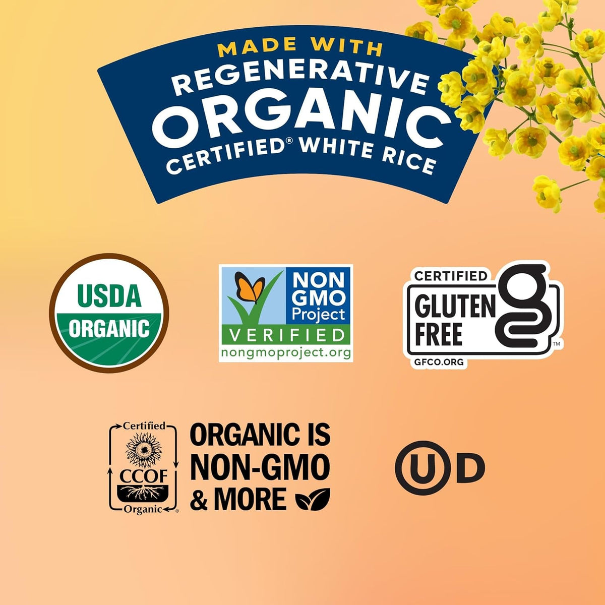 Organic Creamy Parmesan Risotto Seasoned Rice - Regenerative Organic Certified Arborio Rice & Seasoning Mix, Gluten Free, 5.5 Ounce Box