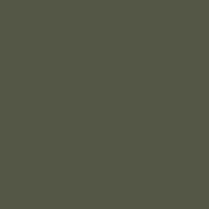 Russian Green Paint, 17Ml