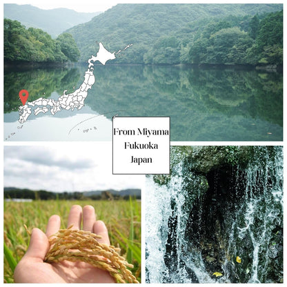 [WASHOKU MATSUO] Nikomaru: Rare Japanese Rice Born from Koshihikari – Premium Short Grain White Rice, Rich in Tradition, 4.4 Lb.