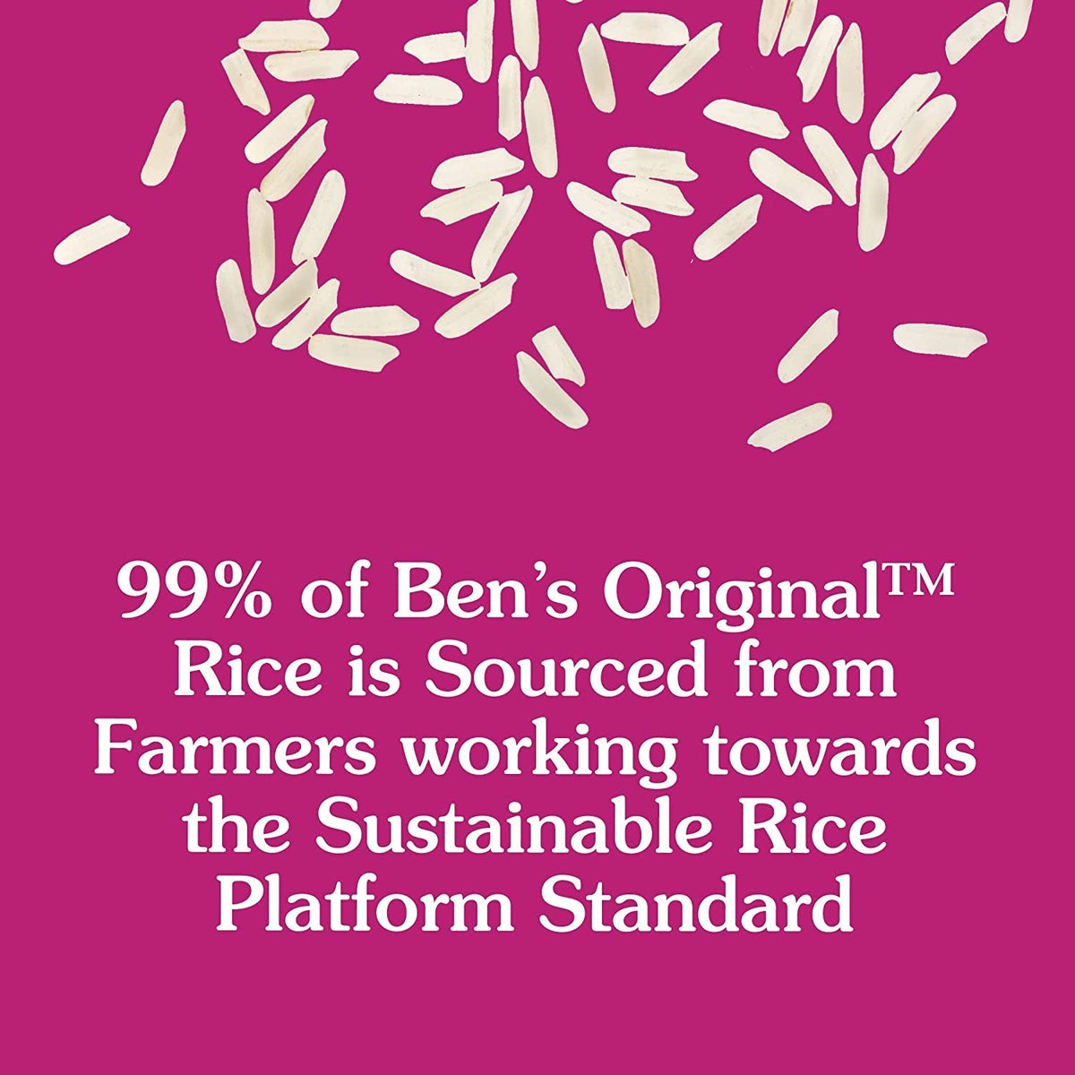 Ready Rice Long Grain White Rice, 8.8 Oz Pouch