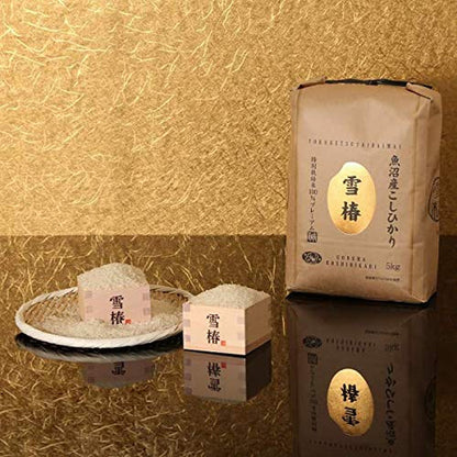 Japanese Extremely Rare , Ultra Premium, Uonuma,  Koshihikari White Rice, 魚沼産こしひかり特別栽培米「雪椿 11 Pound / 5Kg (1)