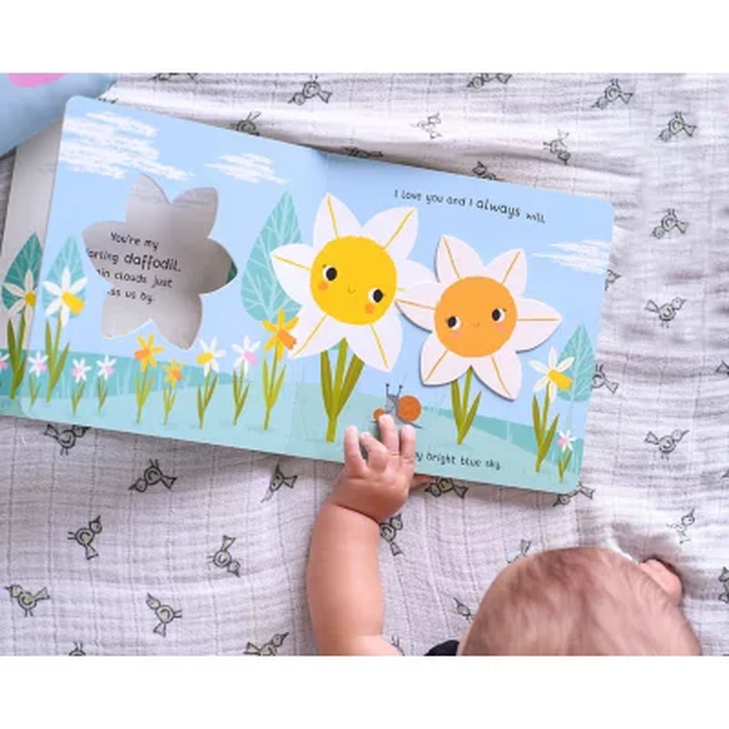 You'Re My Little Honey Bunny, Board Book