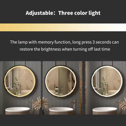 24 In. W X 24 In. H round Aluminum Framed Antifog 3-Color Dimmable LED Lighted Wall Hanging Bathroom Vanity Mirror Black