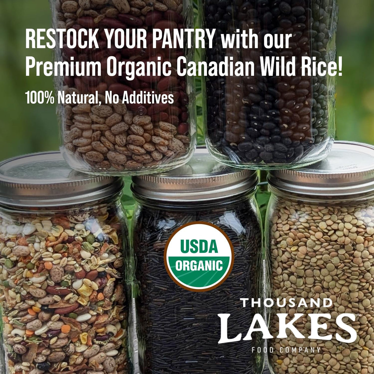 Organic Canadian Wild Rice - Premium - Bulk - 2.5 Pounds | 100% Wild Rice | Wild Harvested