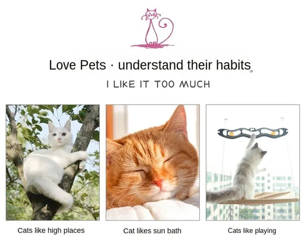 Cat Hammock Cute Hanging Beds Comfortable Sunny Seat Window Mount Pet product Soft Pet Shelf Supplies Detachable Bearing 20kg