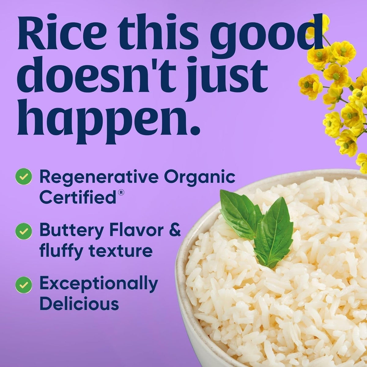 Family Farms Organic Jasmine Rice, California White, 32 Ounce