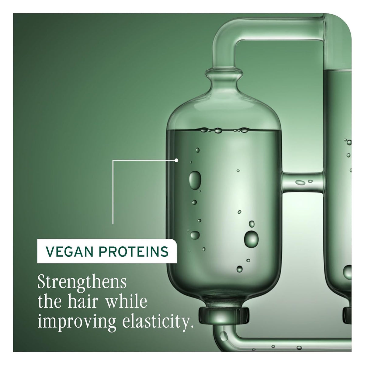 Biolage Strength Recovery Shampoo - Reduces Breakage & Detangles, for Damaged Hair, with Olive Squalane & Vegan Proteins, Paraben & Mineral Oil-Free, Packaging May Vary