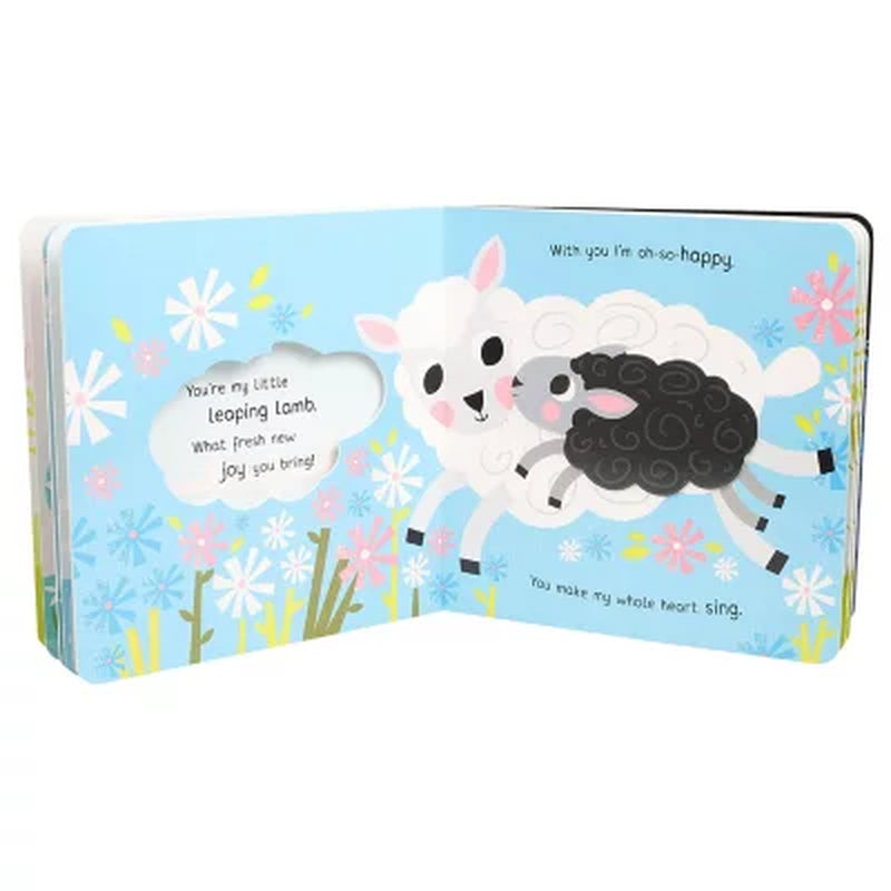 You'Re My Little Honey Bunny, Board Book