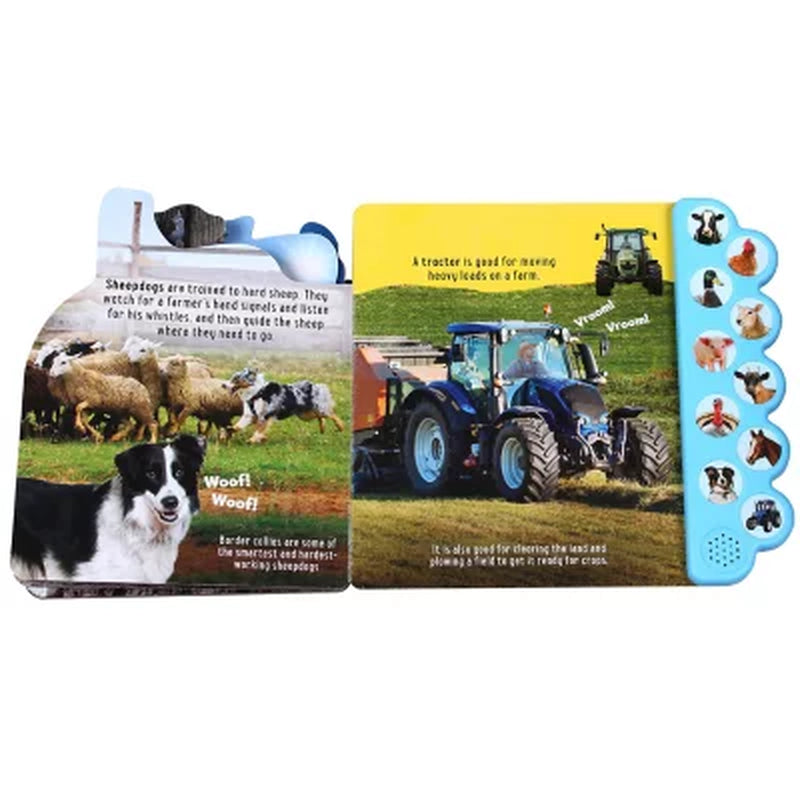 Discovery: Oink on the Farm!, Board Book